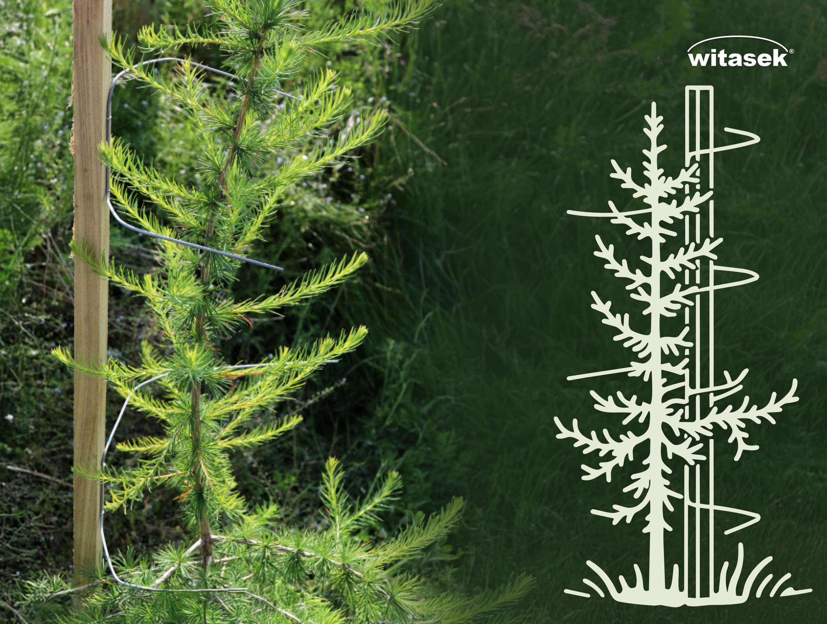 Blog-Witasek_Fegeschutzstab_384x290