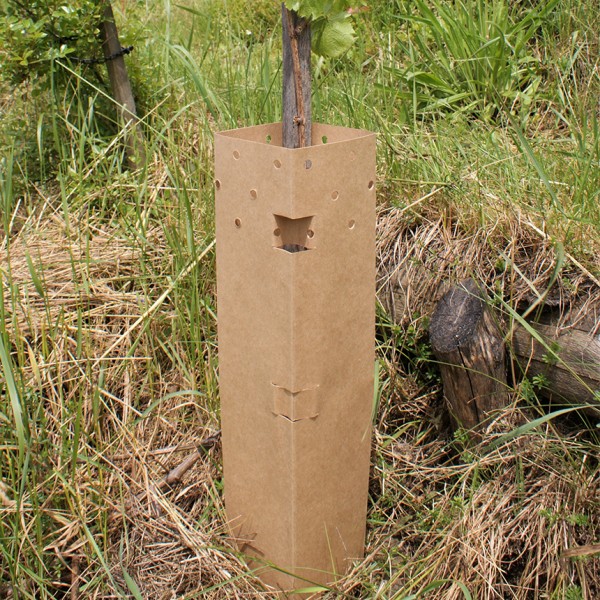BioWit NT Natur Typ - Rebschutzsäule 60 cm