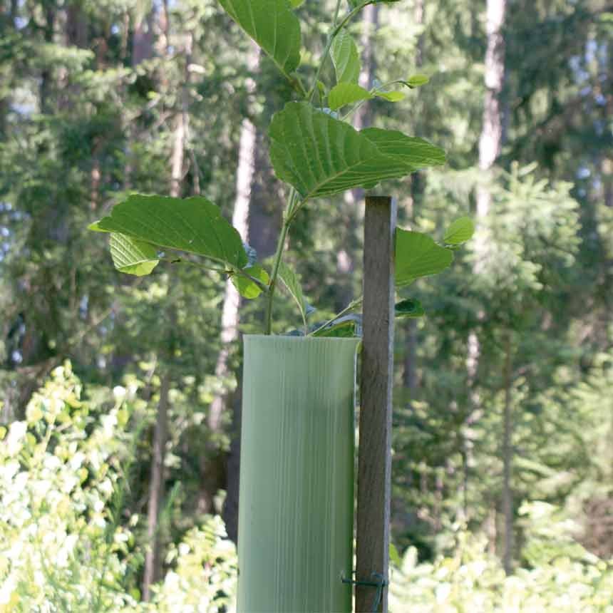 EcoTub Light 120cm standard (ungelocht) - Baumschutzsäule