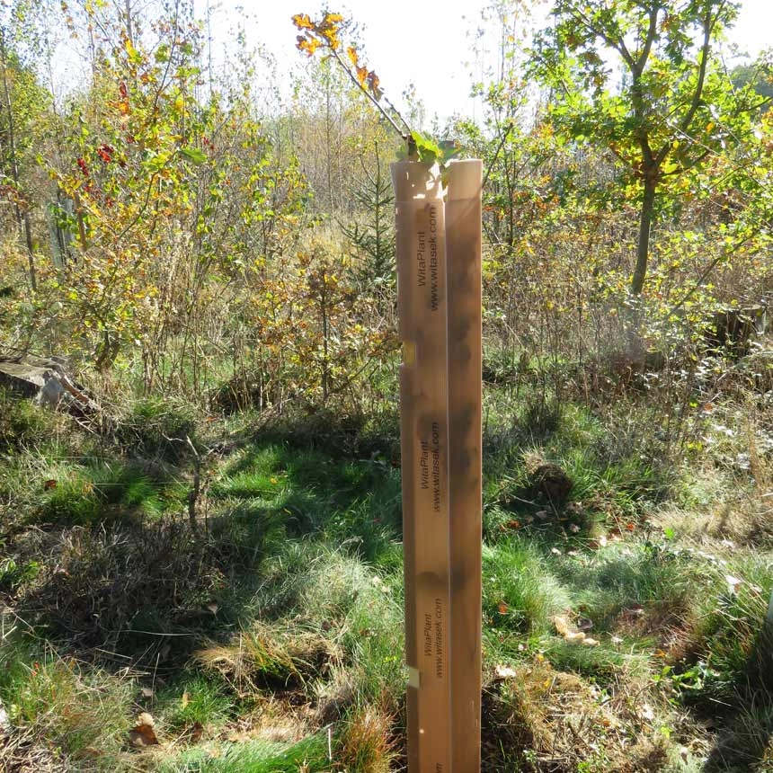 Witaplant Mv Closed Re Opened Tree Shelter Witasek Onlineshop Plant Protection