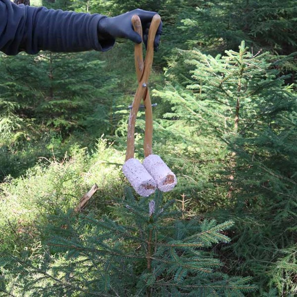 Ausbringungn Wildverbissschutzmittel mit Kuckuckszange