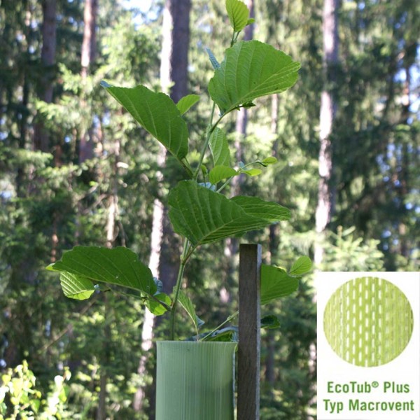EcoTub Plus 4 - 120 cm, geschlitzte, geschlossene Baumschutzsäule