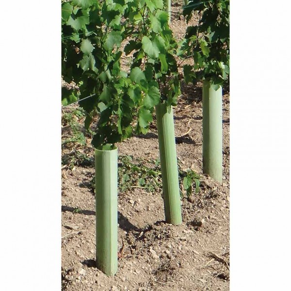 EcoTub Plus3 - 60 cm, geschlossene Rebschutzsäule