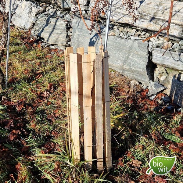 WitaPro vine protection made of wood, 60 cm
