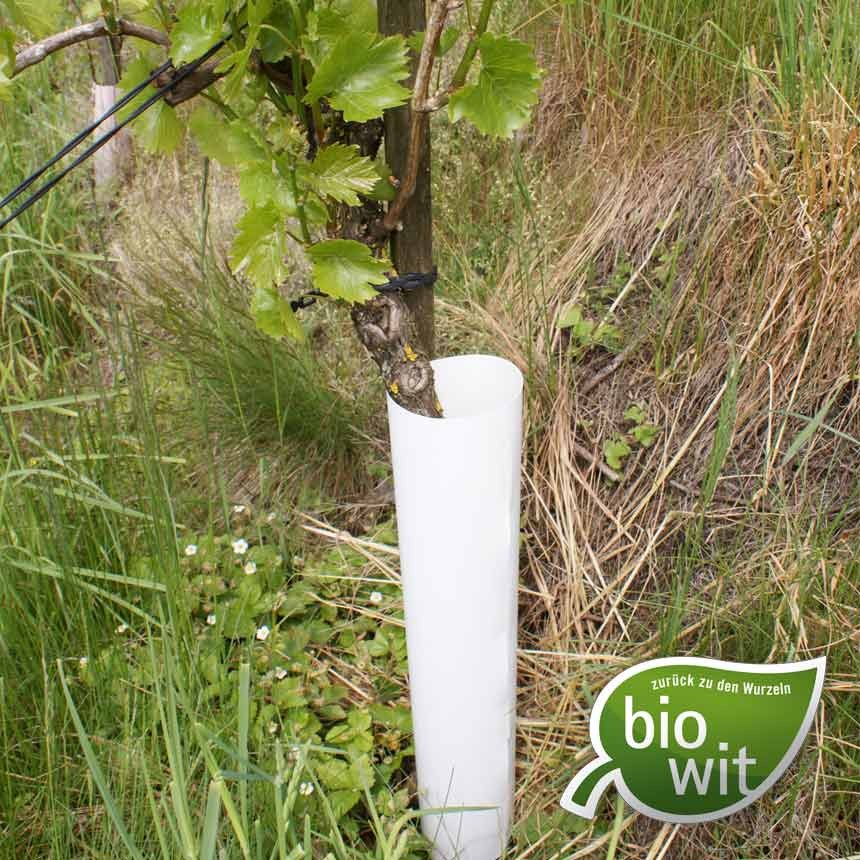 BioWit Tube 55cm - Rebschutzsäule