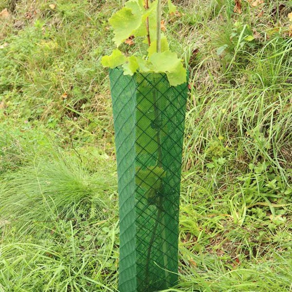 Klimawit Smart 200 - vine protection net 80 cm, green