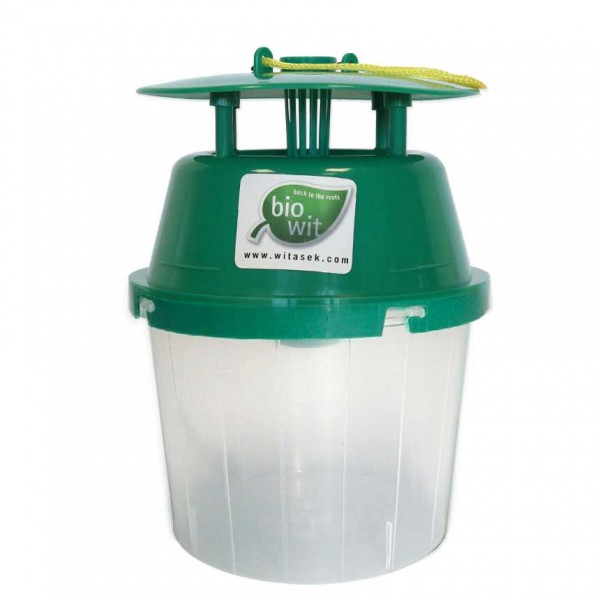Transparent collecting container for WitaTrap Funnel Trap